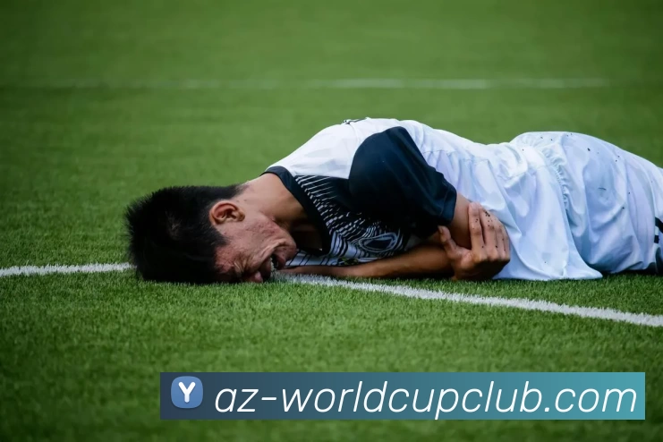 世界杯APP下载平台生态图